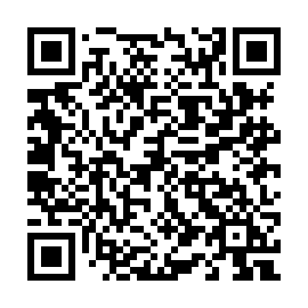 QR code for T11HJI