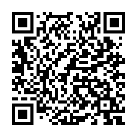 QR code for plate T12-BAU