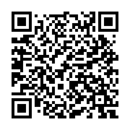 QR code for T13-BVM
