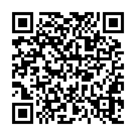 QR code for plate T13-ZMZ