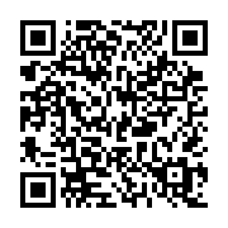 QR code for plate T29-CDM