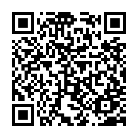 QR code for plate T33-OMT