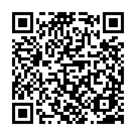 QR code for T38-MNA