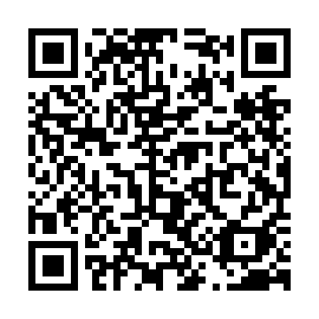 QR code for T38-NAI