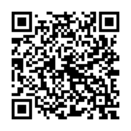 QR code for T38-YYZ