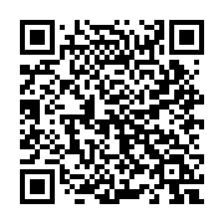 QR code for plate T38-BVL