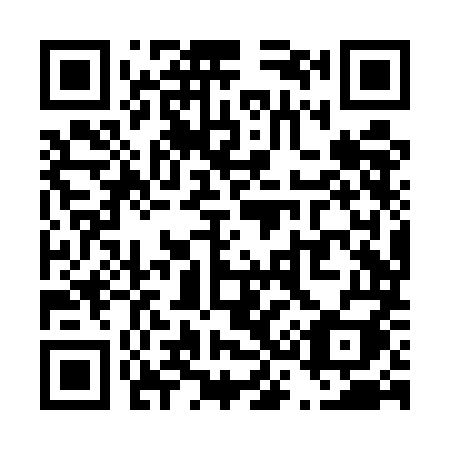 QR code for plate T38-UMI