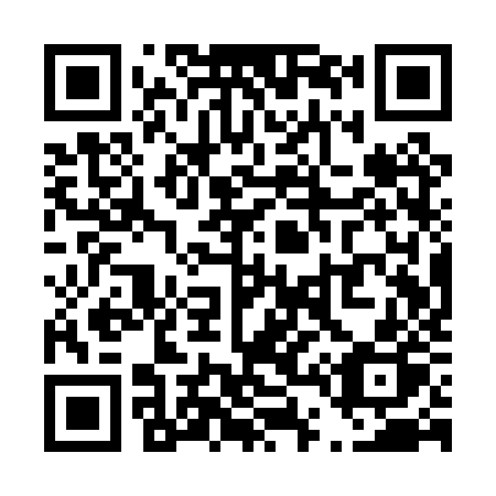 QR code for T41-PZP
