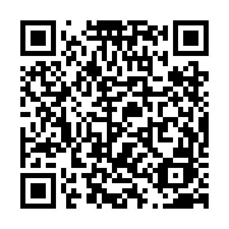 QR code for T41-SFJ
