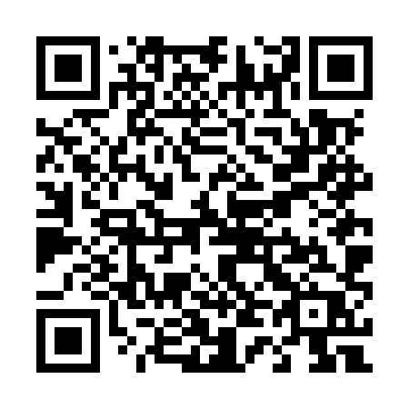 QR code for T46-MXP