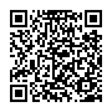 QR code for T46-WGT
