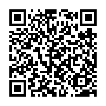 QR code for plate T50-FZS