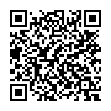 QR code for T53-NSL