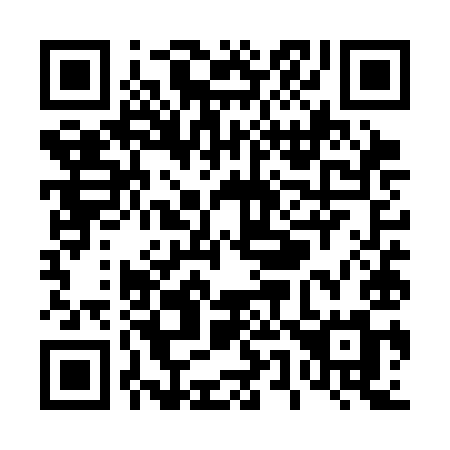 QR code for T55-SIM