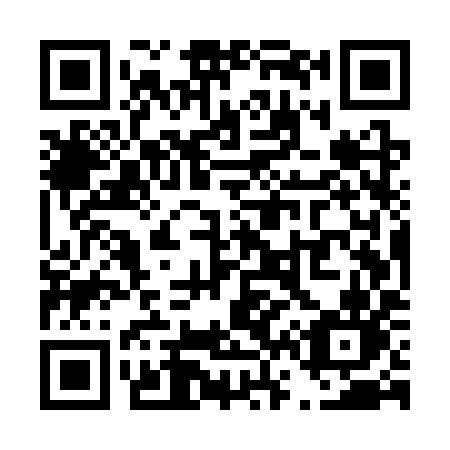 QR code for T65-SYN