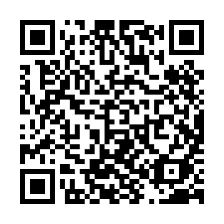 QR code for T80-PII