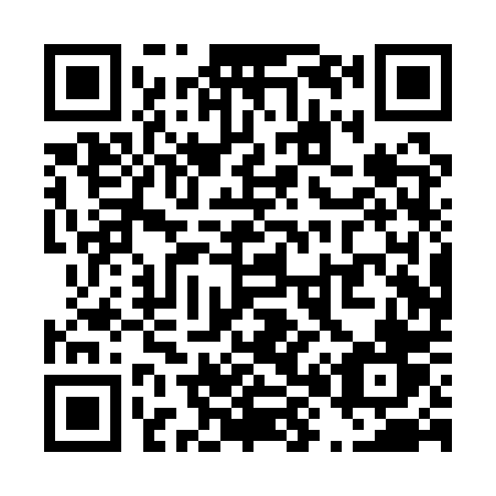 QR code for plate T80-QPV