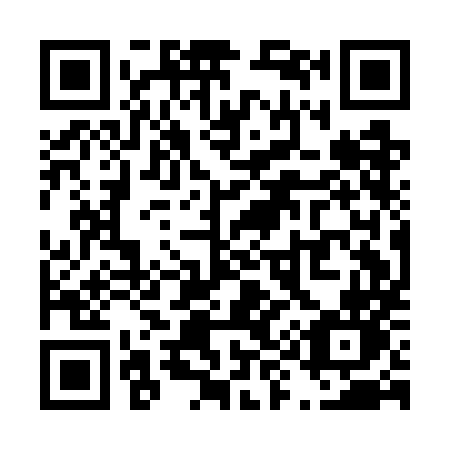 QR code for T91-GMN