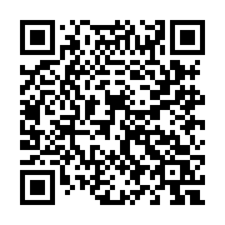 QR code for T91-HFS