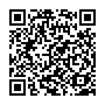 QR code for T91-LSI