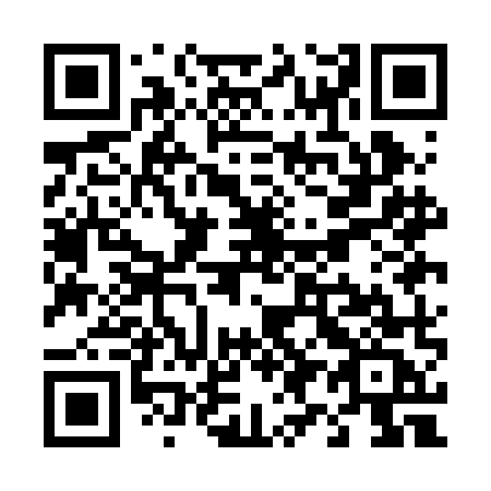 QR code for T91BMC