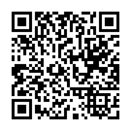 QR code for plate T91-IRC