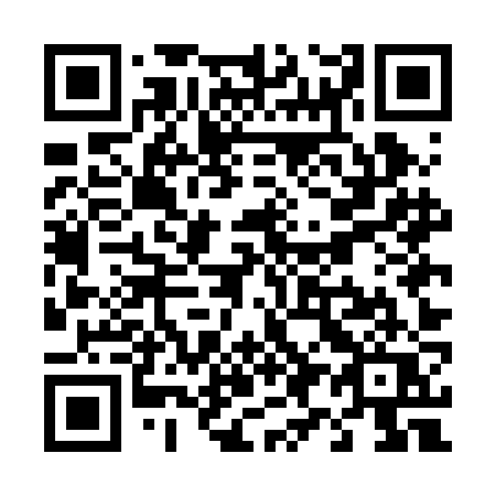 QR code for T95-BJQ