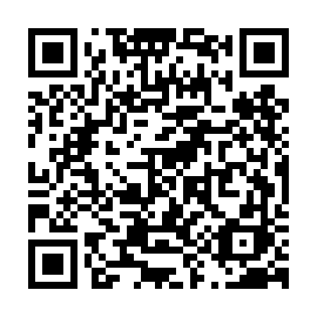 QR code for T95-DFH