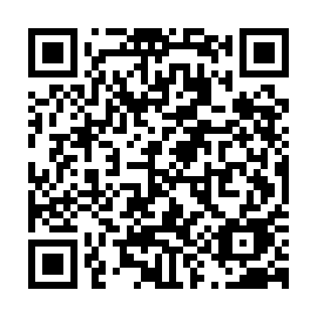 QR code for plate T95-AAE