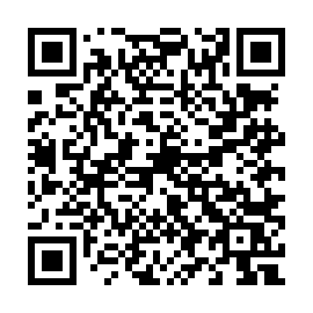 QR code for T95LLS