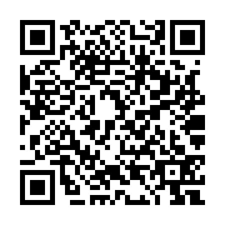 QR code for TD6-Q334