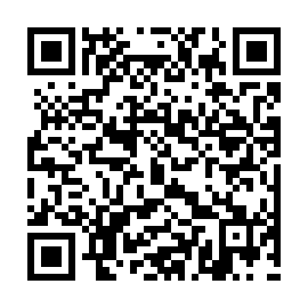 QR code for plate TDS-741