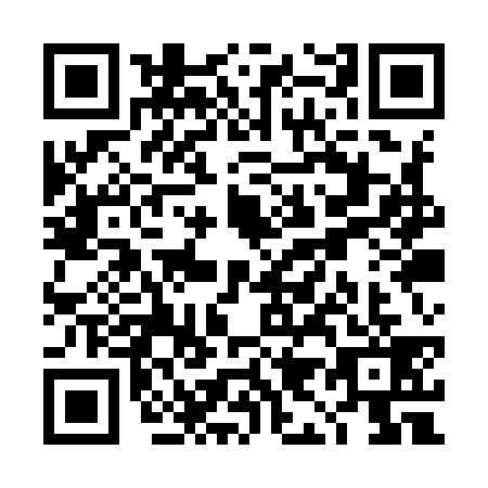 QR code for TI1Y390