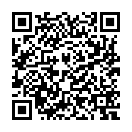 QR code for TI8-I595