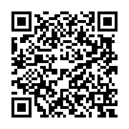QR code for TI9-L617