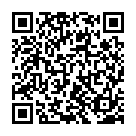 QR code for TNO333
