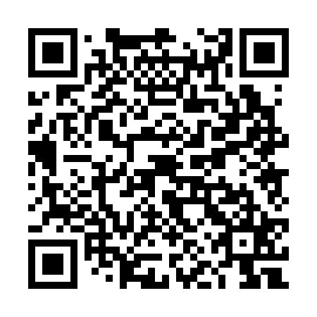 QR code for plate TNP-325