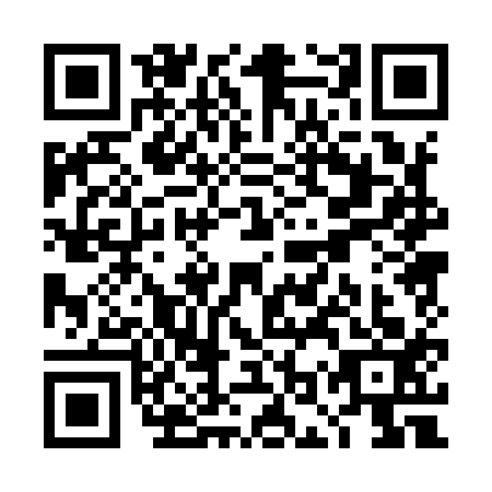 QR code for TOP9133