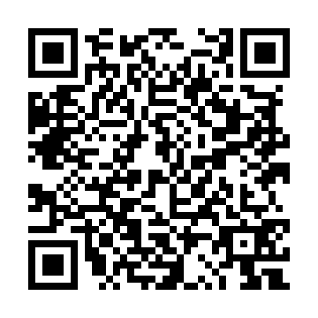 QR code for plate TR9-M728