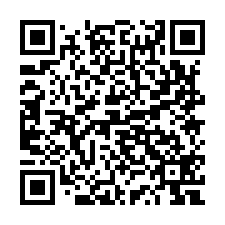 QR code for TSA-919