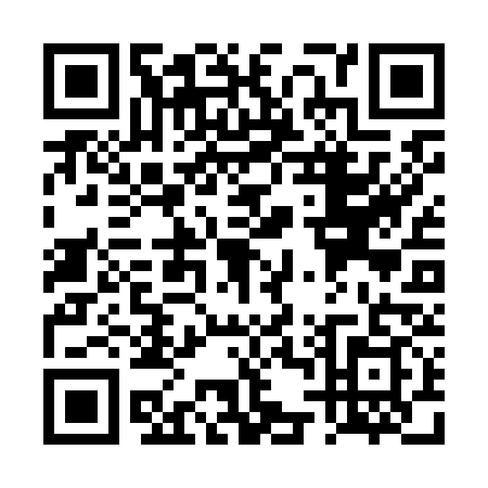 QR code for TT2-K391