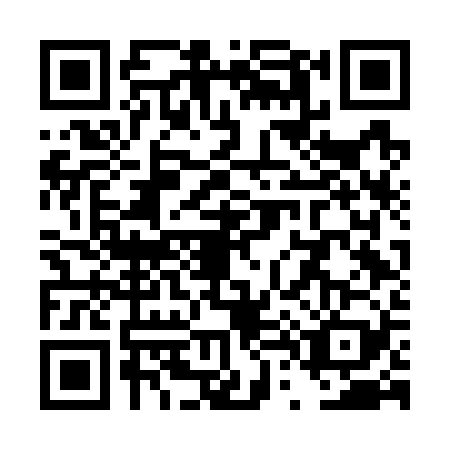 QR code for TT6-G295