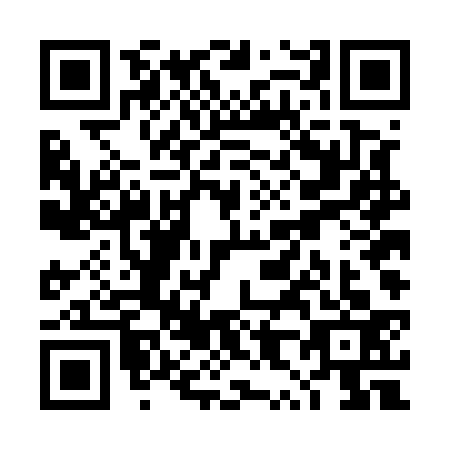 QR code for plate TX4-E335