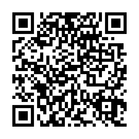 QR code for plate TX9-W271