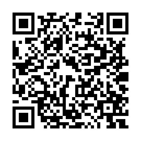 QR code for TZ4-X079