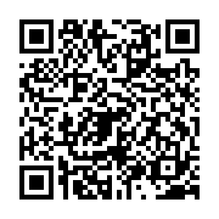 QR code for TZ9C339