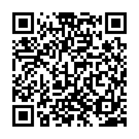 QR code for TZI-333