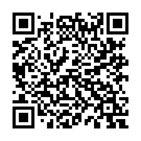 QR code for U29-HGN