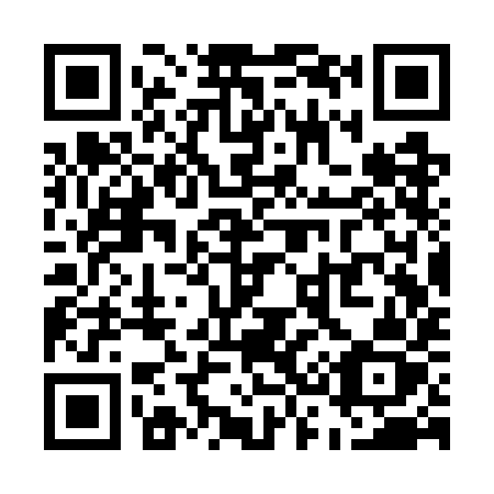 QR code for plate U33-WIZ
