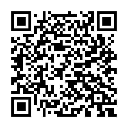 QR code for plate U38-KPC